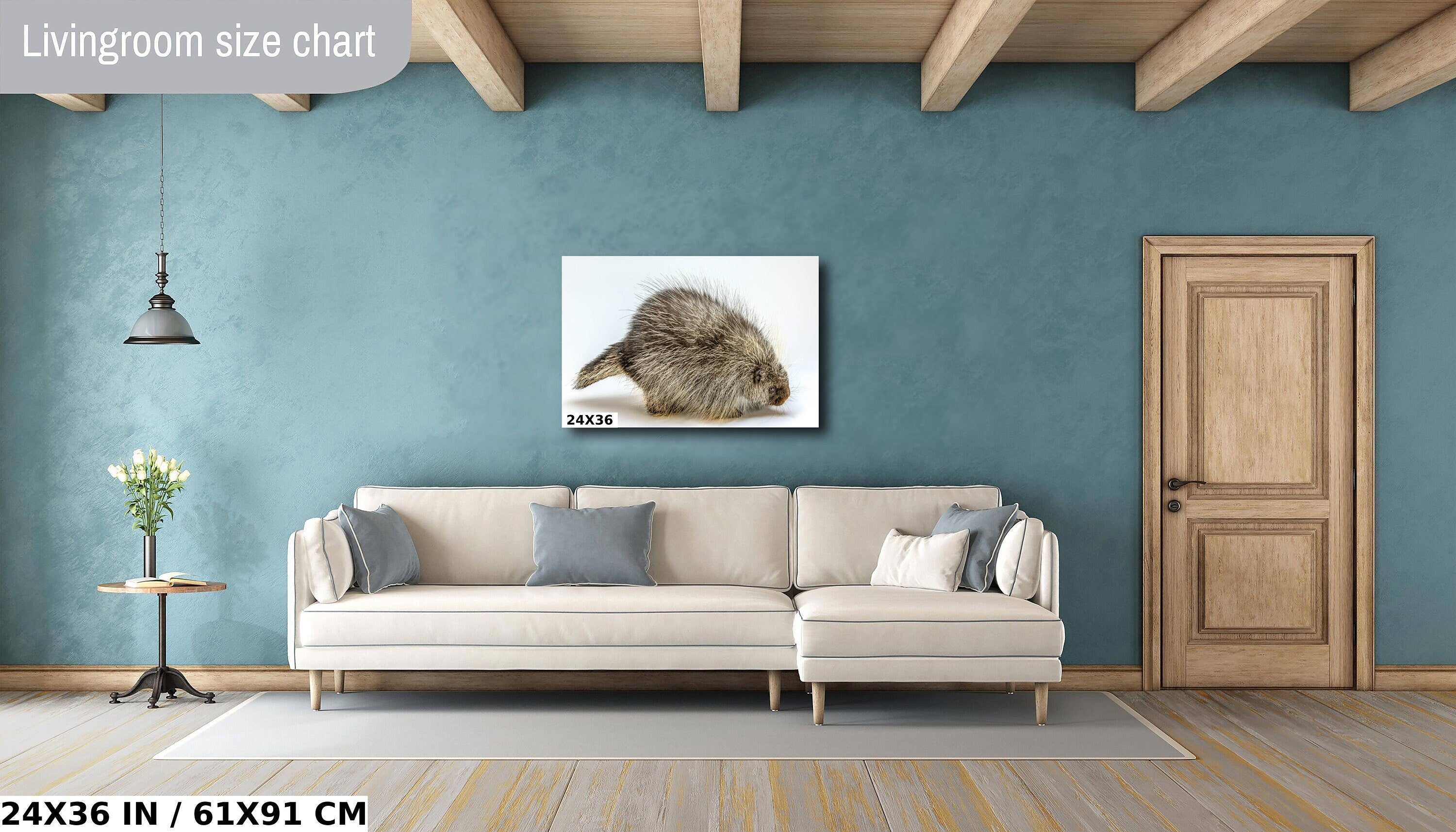 Pure Prickles: Porcupine in a White Space Wall Art Large Rodents Animal Photography Metal Canvas Print
