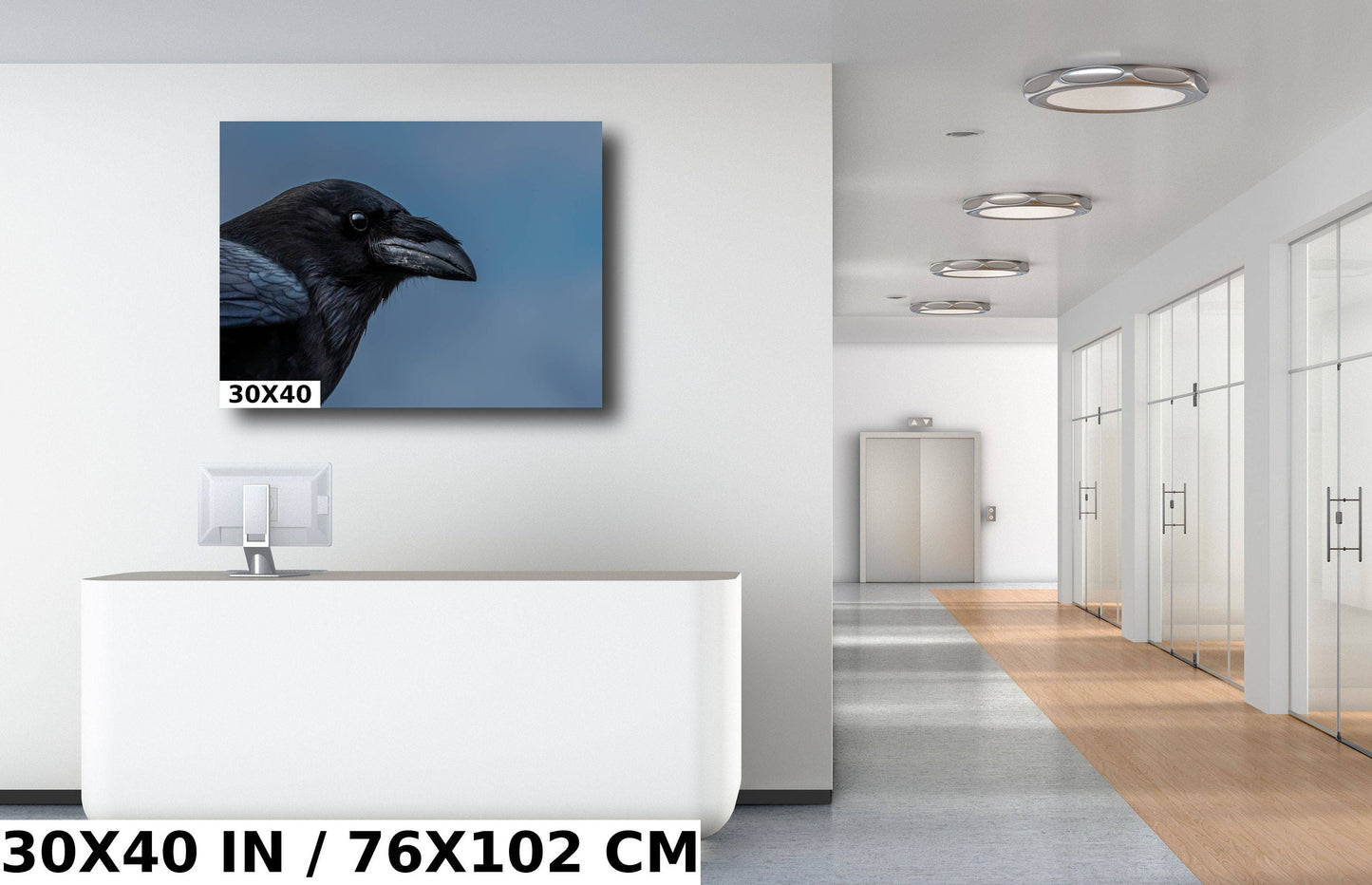 Raven Radiance: Half-Body Shots of Common Raven Wall Art Bird Photography Metal Canvas Print