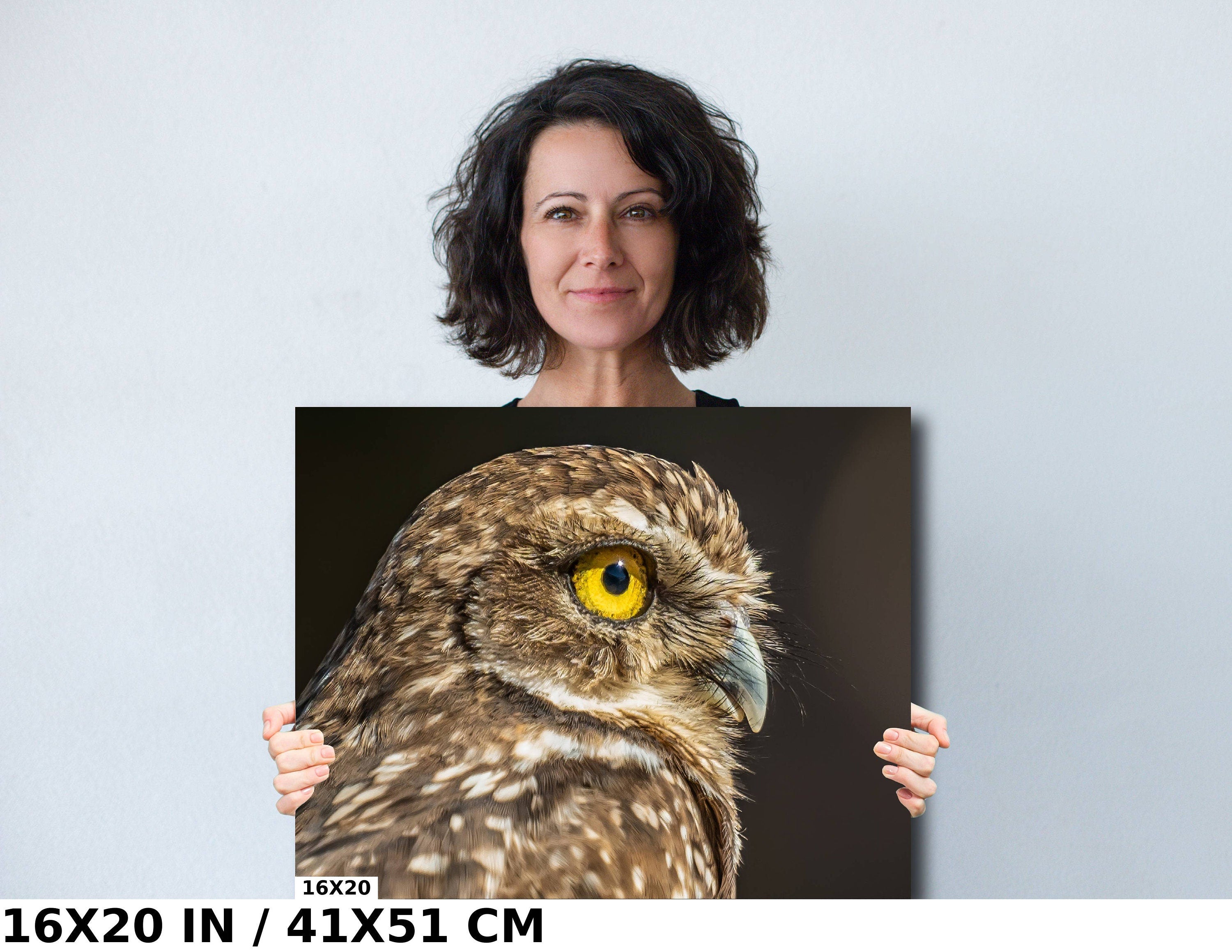 Feathered Curiosity: Burrowing Owl Wall Art Metal Aluminum Print Bird Wildlife Photography