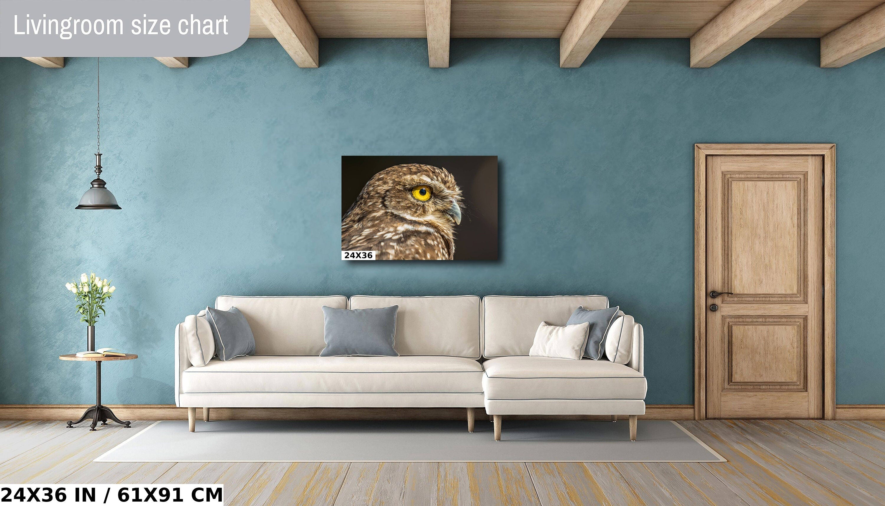 Feathered Curiosity: Burrowing Owl Wall Art Metal Aluminum Print Bird Wildlife Photography