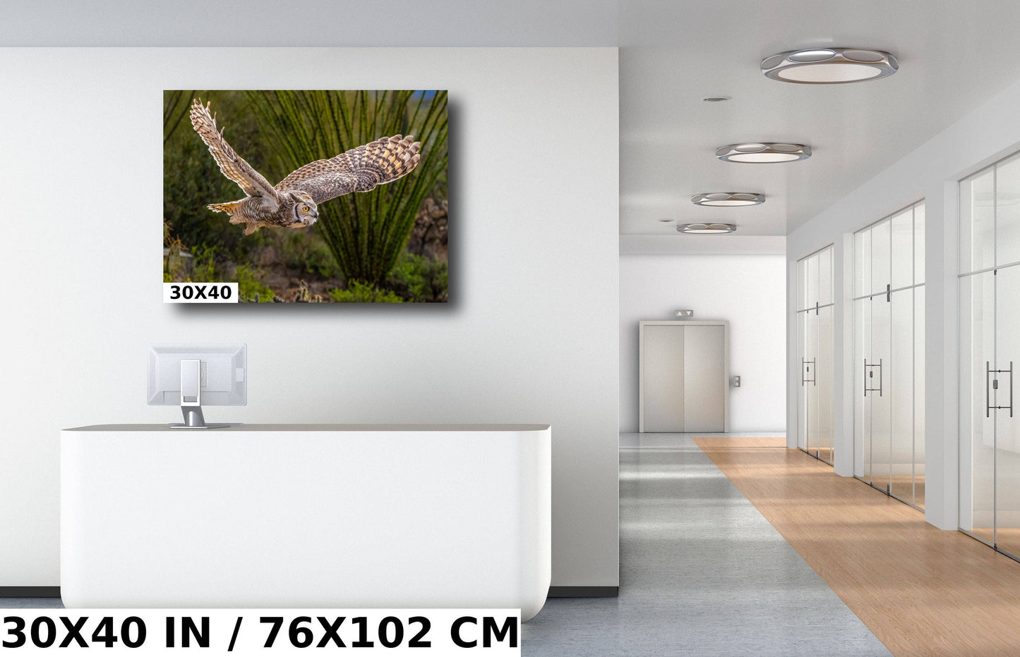 Silent Glide: Great Horned Owl in Graceful Flight Wall Art Photography Metal Acrylic Print Bird Wildlife Landscape