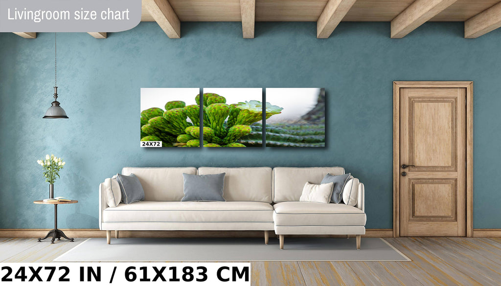 Saguaro Cactus Flower: Sonoran Desert Landscape Photography Wall Art