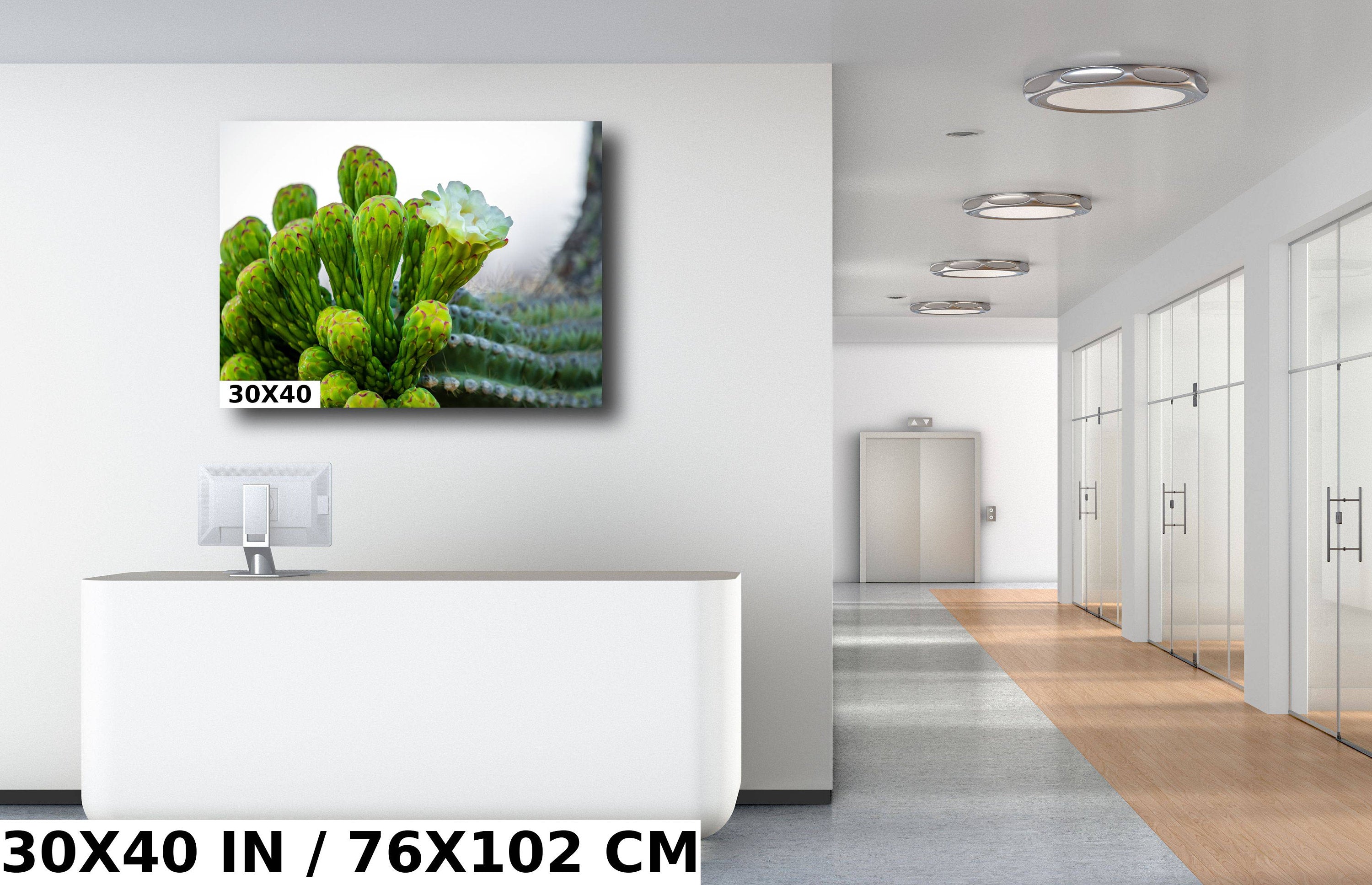 Saguaro Cactus Flower: Sonoran Desert Landscape Photography Wall Art