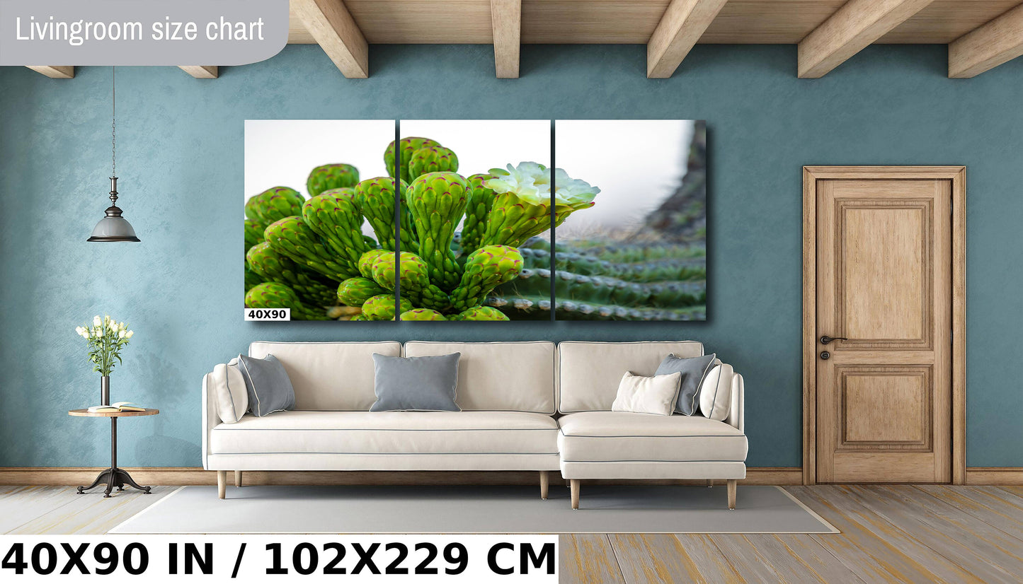 Desert Jewels: Saguaro Cactus Flower Blooms Metal Canvas Print Desert Cactus Wall Art Arizona Landscape Photography