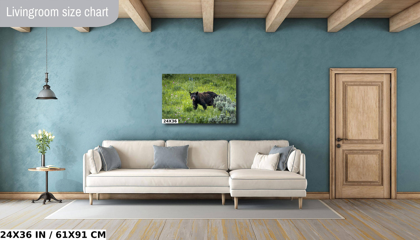 Bear Essentials: Black Bear of Yellowstone National Park Metal Canvas Print Wildlife Wall Art Animal Photography
