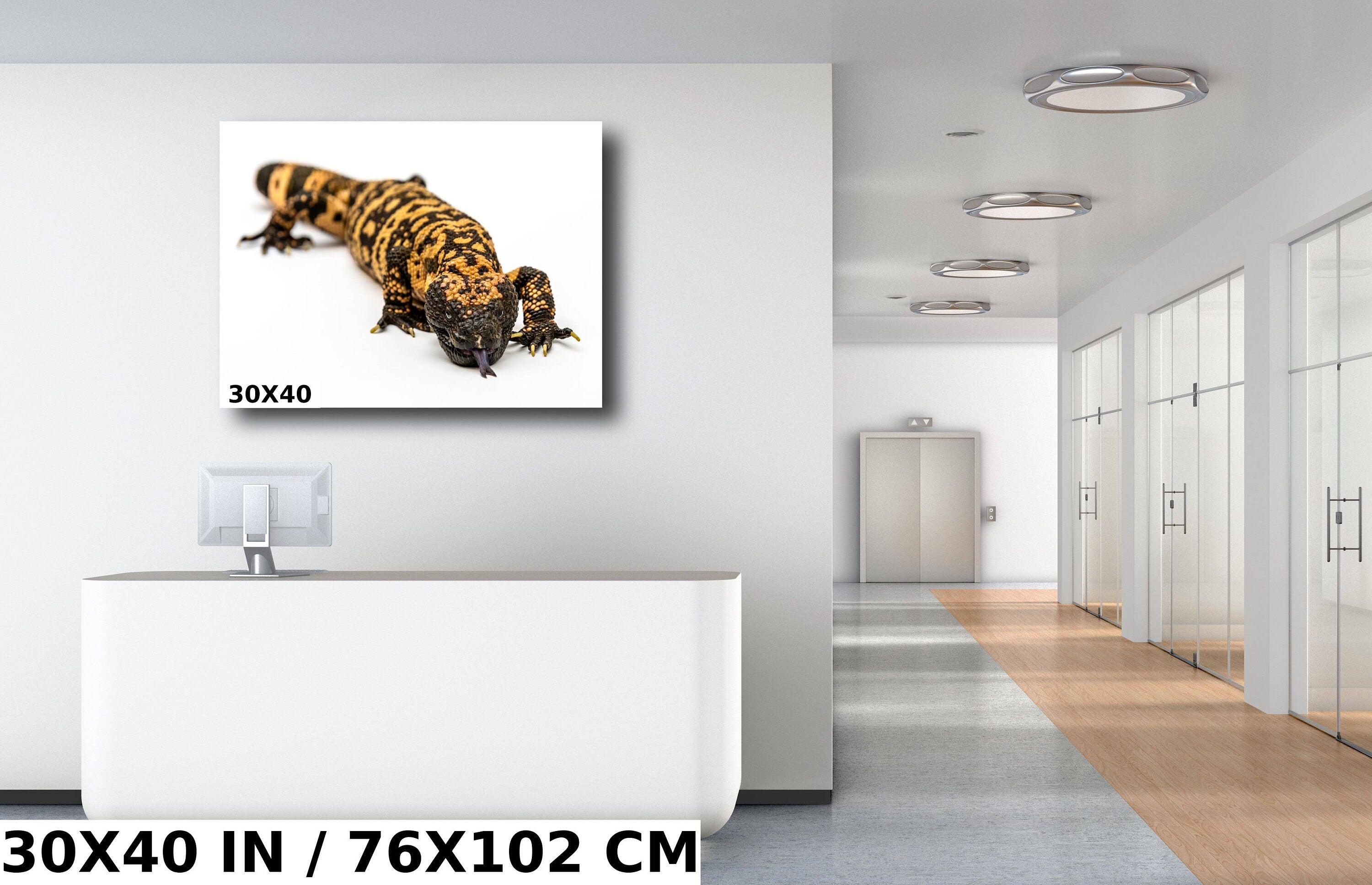 Reptilian Royalty: Gila Monster Wall Art Exotic Animal Metal Acrylic Print Reptile Photography
