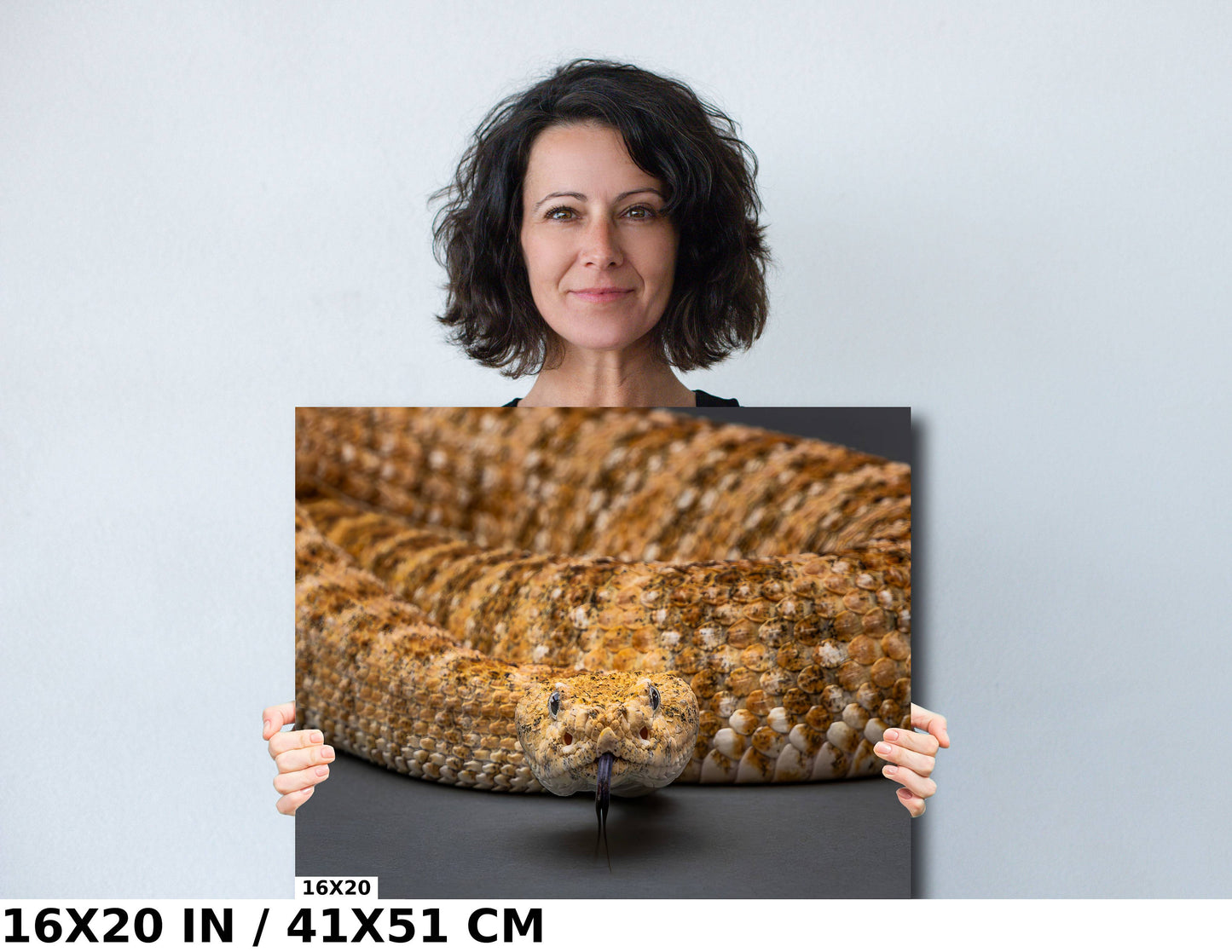 I’m Watching You: The Piercing Eyes of a Rattlesnake Wall Art Reptile Animal Metal Canvas Print