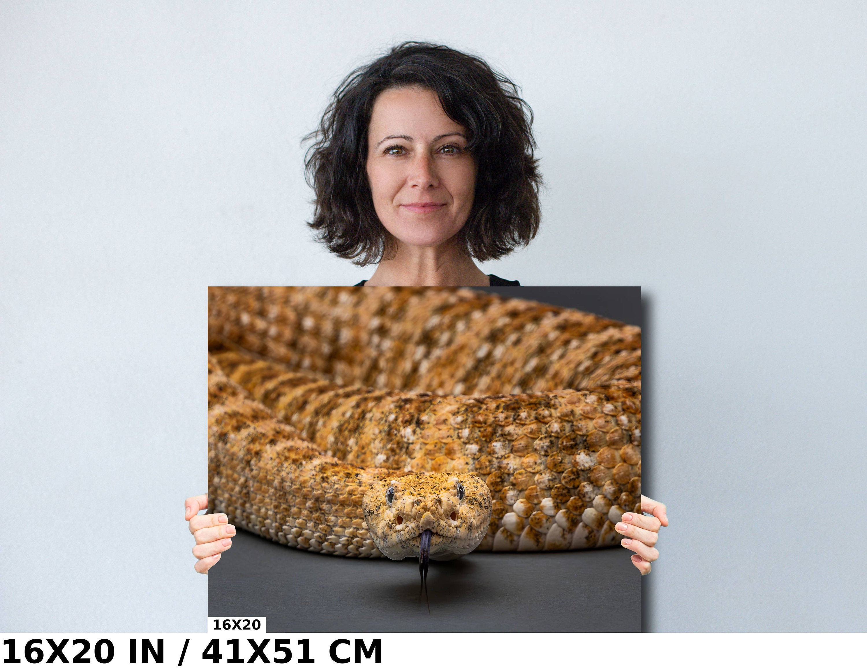 I’m Watching You: The Piercing Eyes of a Rattlesnake Wall Art Reptile Animal Metal Canvas Print