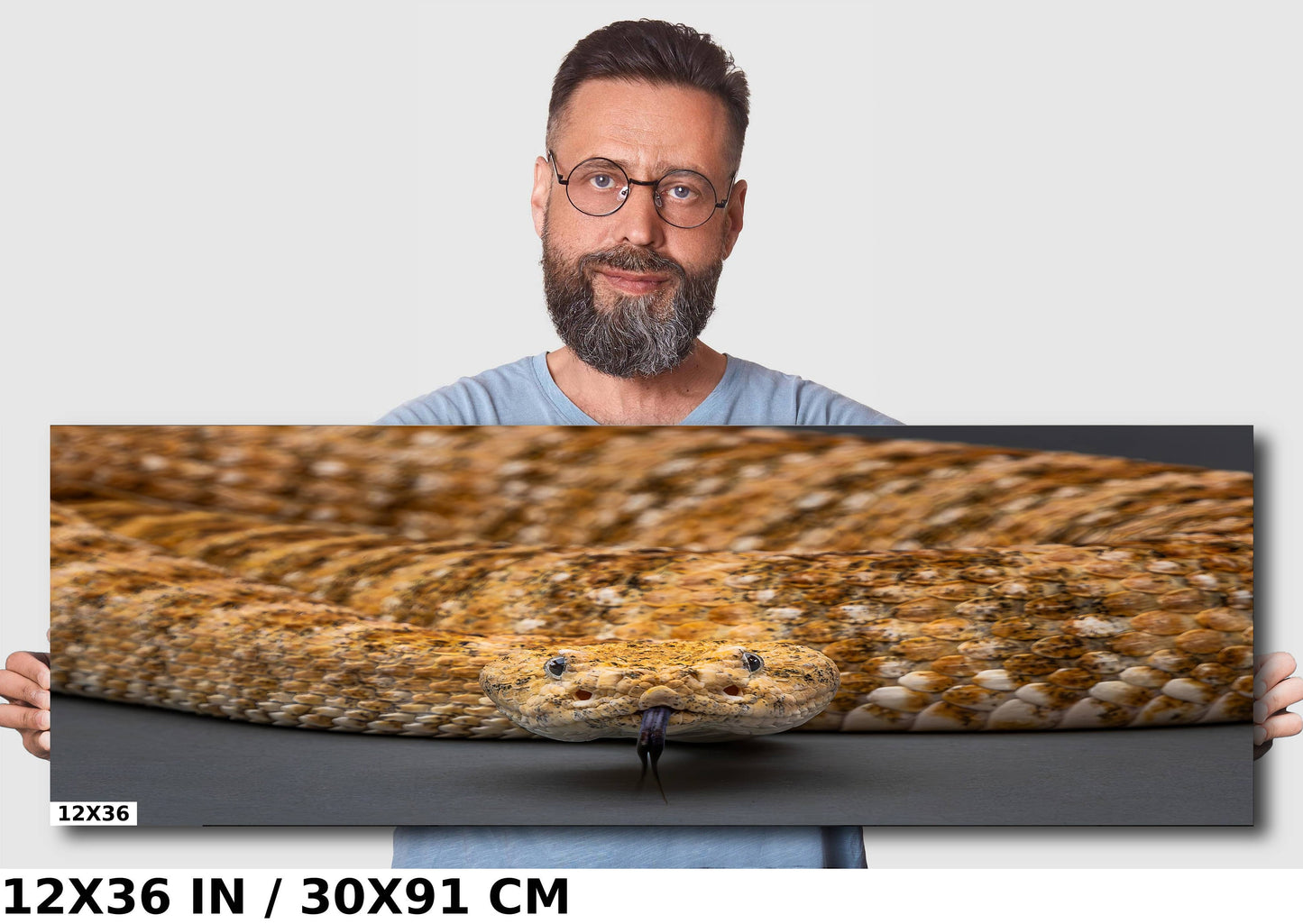 I’m Watching You: The Piercing Eyes of a Rattlesnake Wall Art Reptile Animal Metal Canvas Print