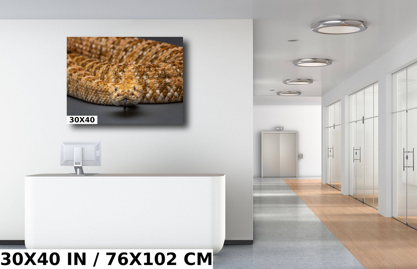 I’m Watching You: The Piercing Eyes of a Rattlesnake Wall Art Reptile Animal Metal Canvas Print