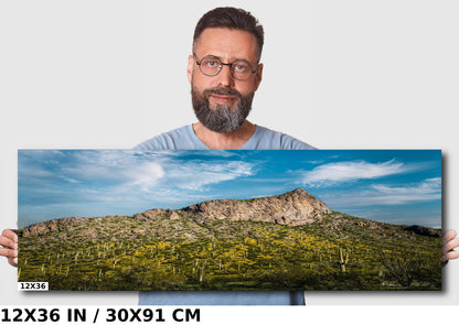 Picacho Peak Arizona Desert Landscape Photography Wall Art