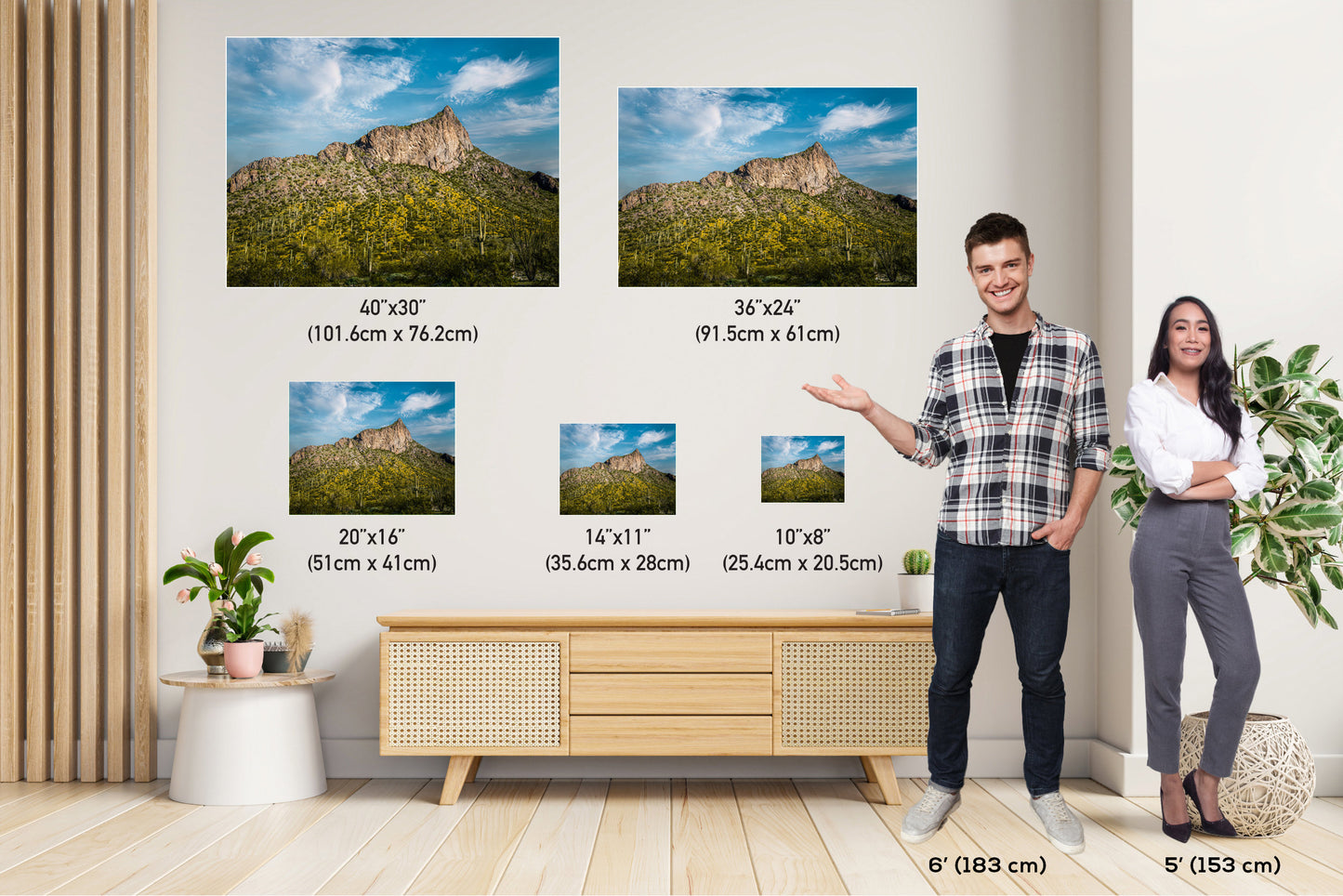 Picacho Peak Arizona Desert Landscape Photography Wall Art