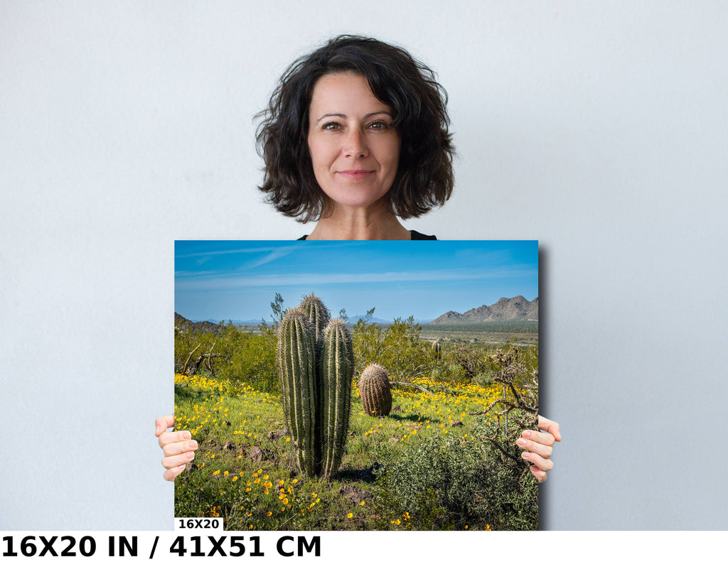 Saguaro Cactus Arizona Desert Landscape Photography Wall Art