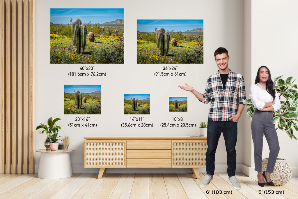 Saguaro Cactus Arizona Desert Landscape Photography Wall Art