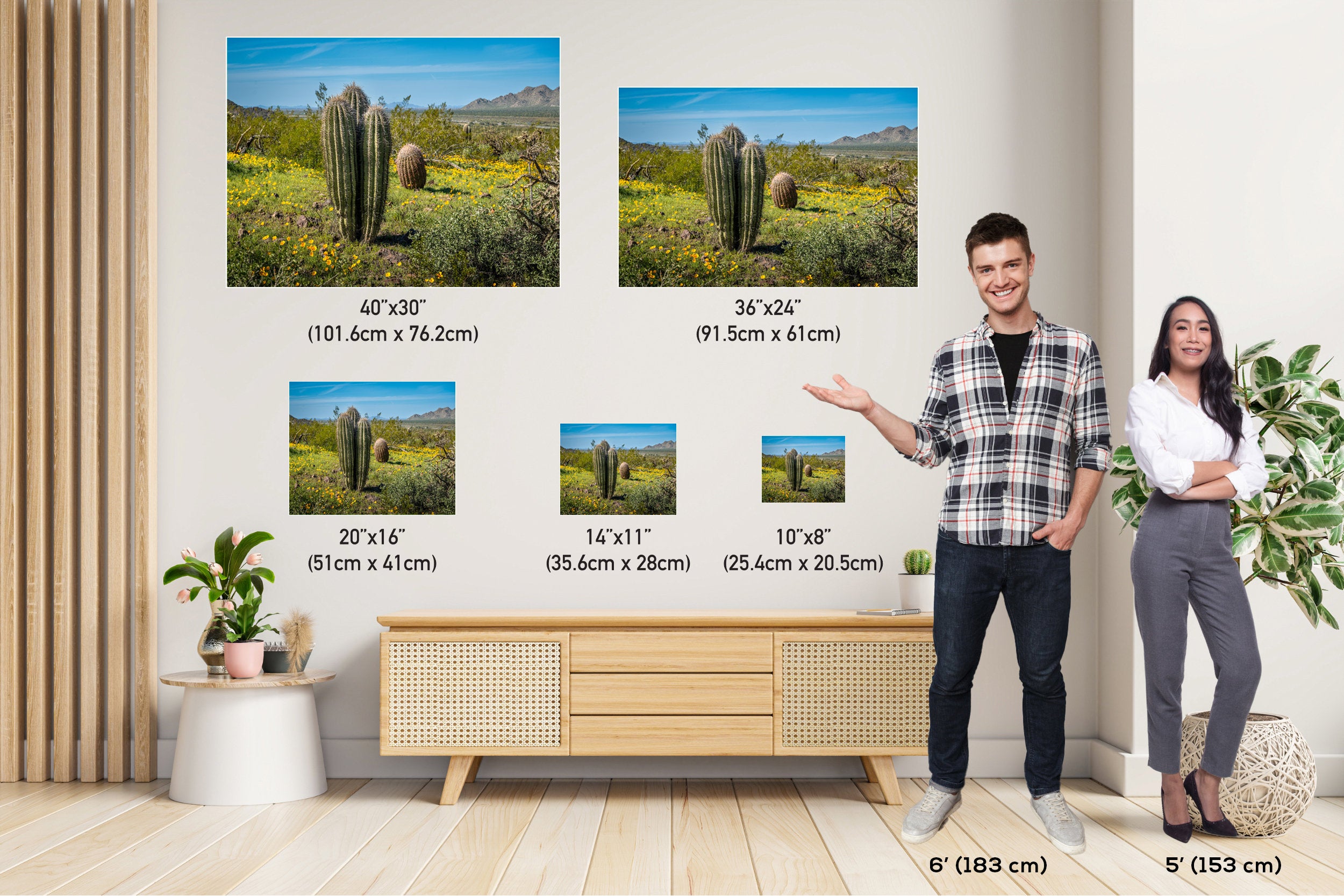 Saguaro Cactus Arizona Desert Landscape Photography Wall Art