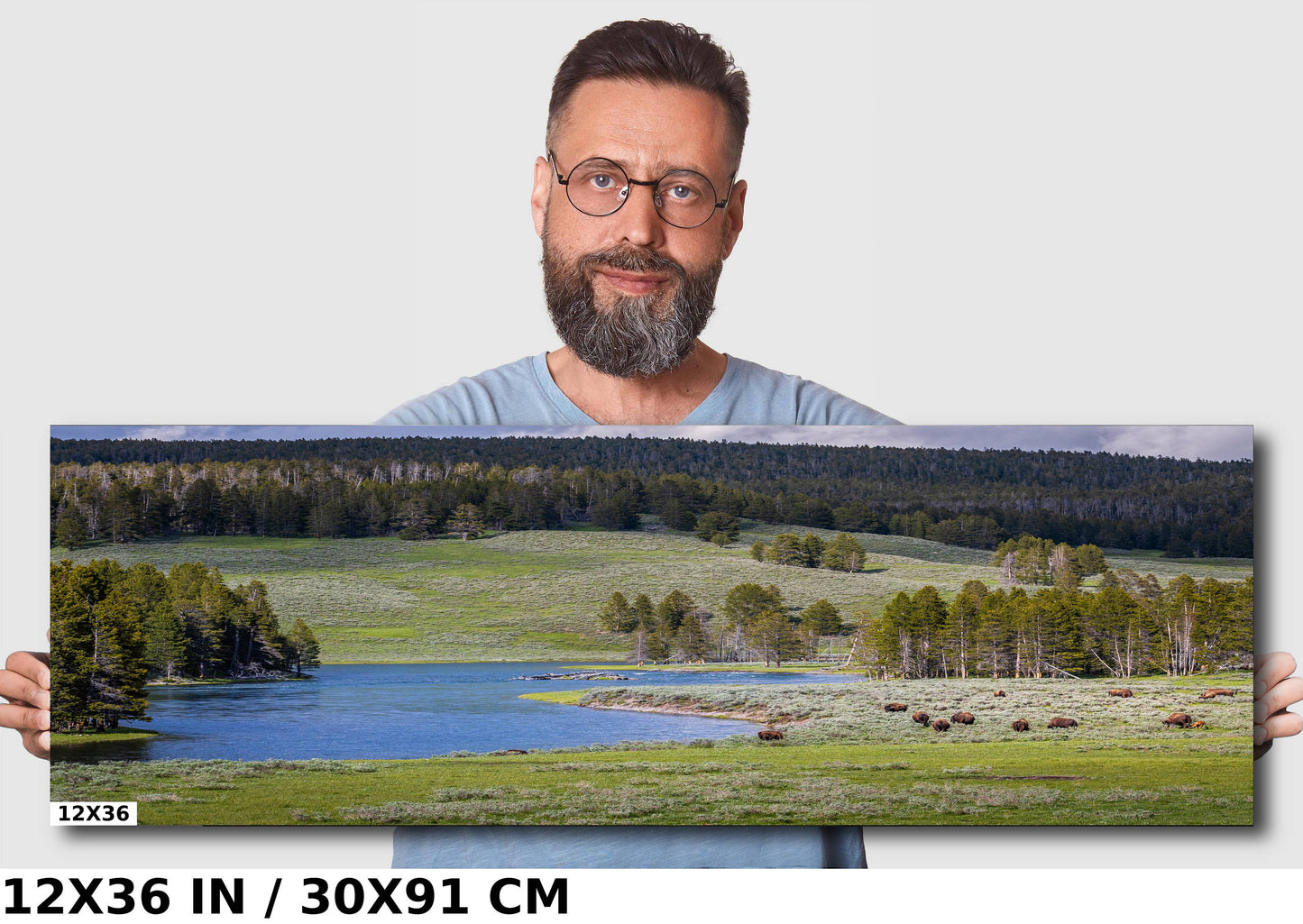 Yellowstone Bison Photography Print: Hayden Valley Wildlife