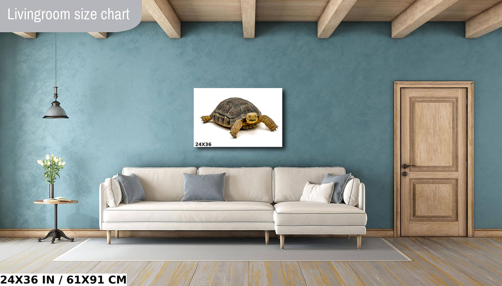 Hard Shell Finish: The Desert Tortoise Wall Art Metal Canvas Print Turtle Photography