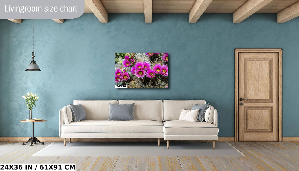 Prickly Beauty: Hedgehog Cactus Flower Metal Canvas Print Echinocereus Wall Art Arizona Desert Photography