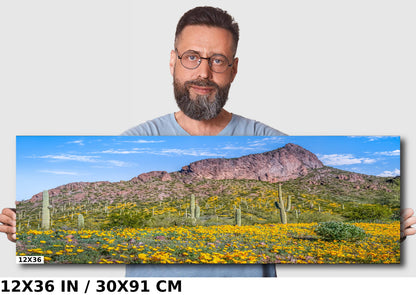 Picacho's Palette: Orange Yellow Poppies Wall Art Picacho Peak State Park Wildflower Metal Acrylic Print Arizona Landscape