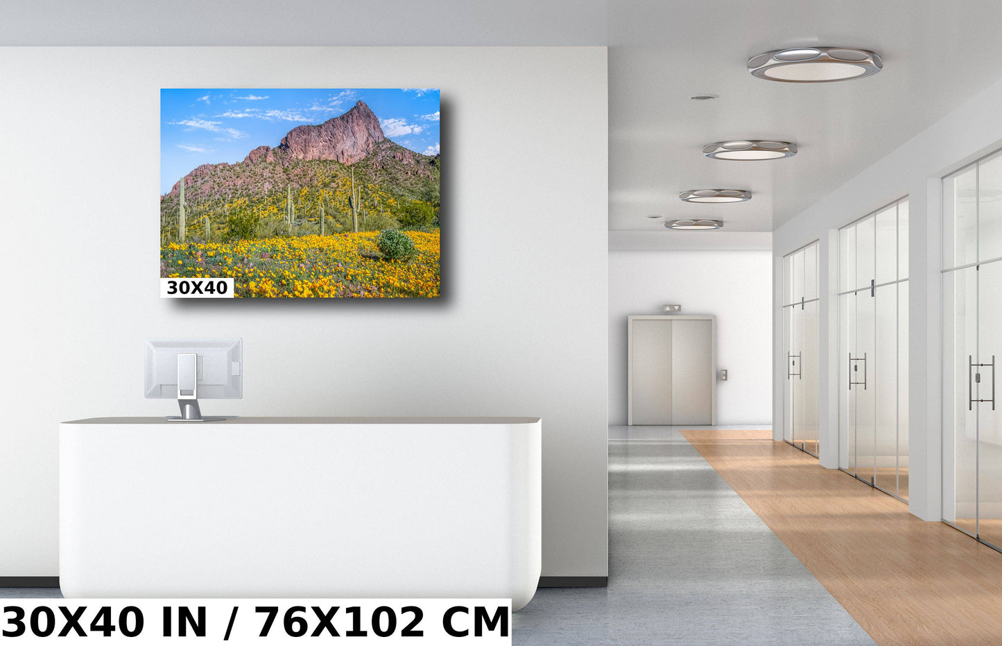 Picacho's Palette: Orange Yellow Poppies Wall Art Picacho Peak State Park Wildflower Metal Acrylic Print Arizona Landscape