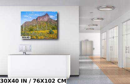 Picacho's Palette: Orange Yellow Poppies Wall Art Picacho Peak State Park Wildflower Metal Acrylic Print Arizona Landscape