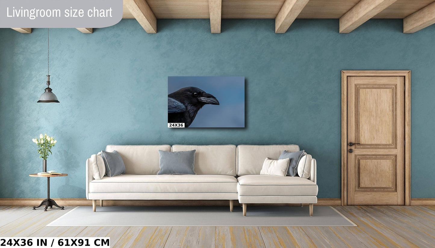 Raven Radiance: Half-Body Shots of Common Raven Wall Art Bird Photography Metal Canvas Print