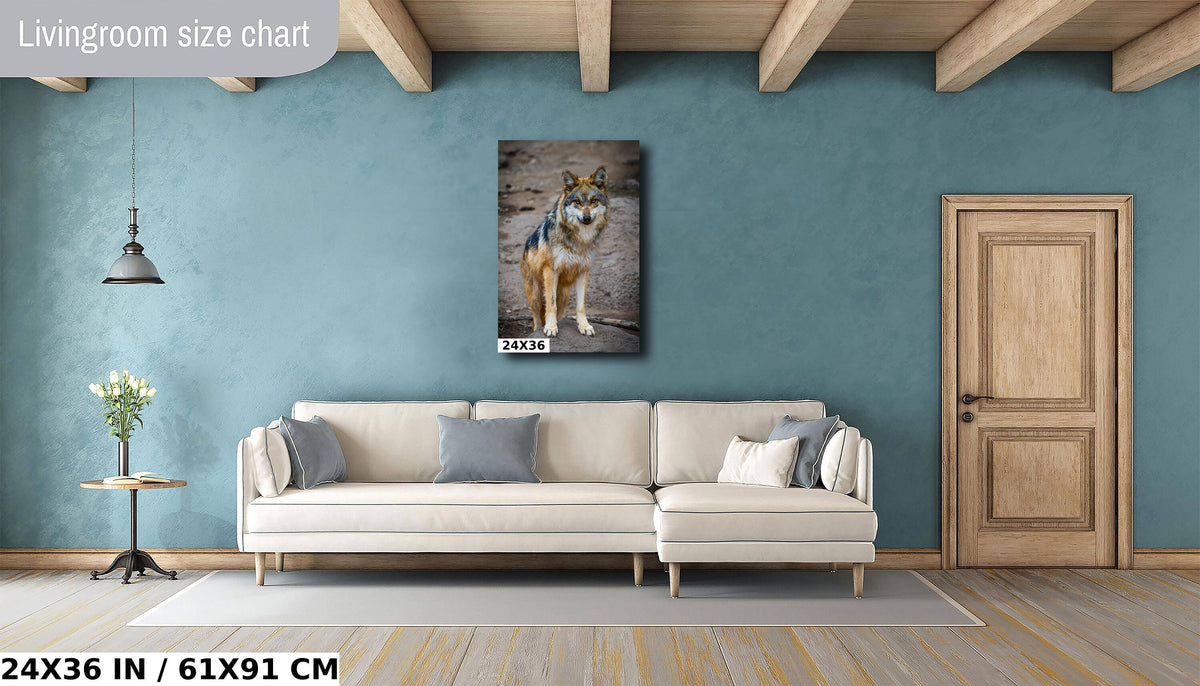 You Look Delicious: A Mexican Wolf’s Piercing Stare Wall Art Metal Acrylic Print Wildlife Portrait Animal Photography
