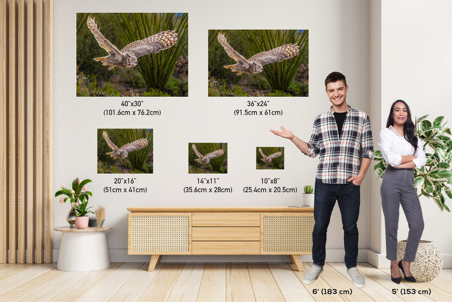 Silent Glide: Great Horned Owl in Graceful Flight Wall Art Photography Metal Acrylic Print Bird Wildlife Landscape