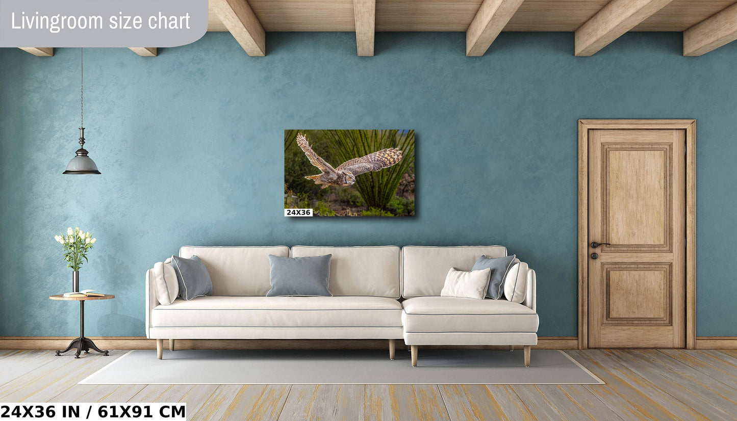 Silent Glide: Great Horned Owl in Graceful Flight Wall Art Photography Metal Acrylic Print Bird Wildlife Landscape