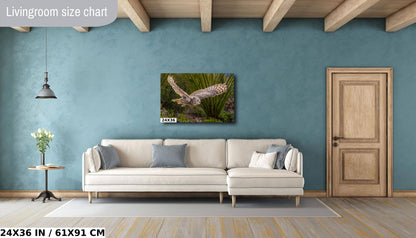 Silent Glide: Great Horned Owl in Graceful Flight Wall Art Photography Metal Acrylic Print Bird Wildlife Landscape