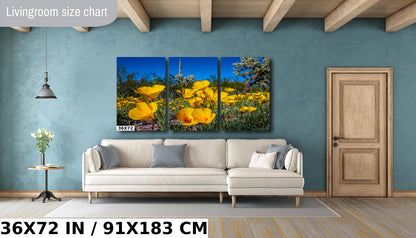 Golden Glory: Mexican Gold Poppies in Organ Pipe National Monument Super Bloom Metal Acrylic Print Wild Flower Wall Art Photography