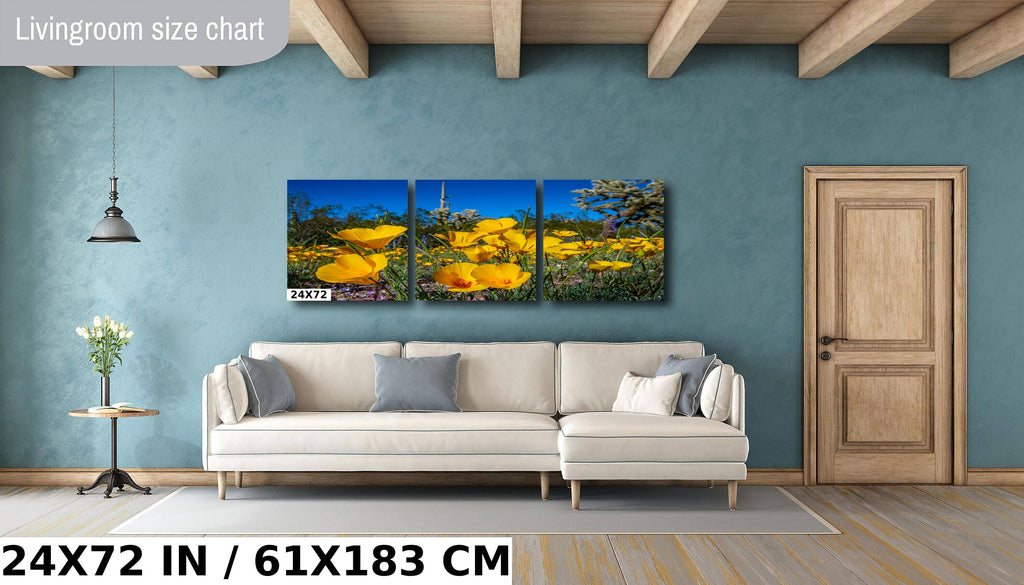 Golden Glory: Mexican Gold Poppies in Organ Pipe National Monument Super Bloom Metal Acrylic Print Wild Flower Wall Art Photography