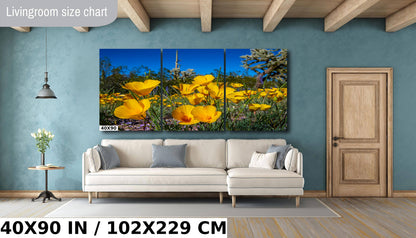 Golden Glory: Mexican Gold Poppies in Organ Pipe National Monument Super Bloom Metal Acrylic Print Wild Flower Wall Art Photography