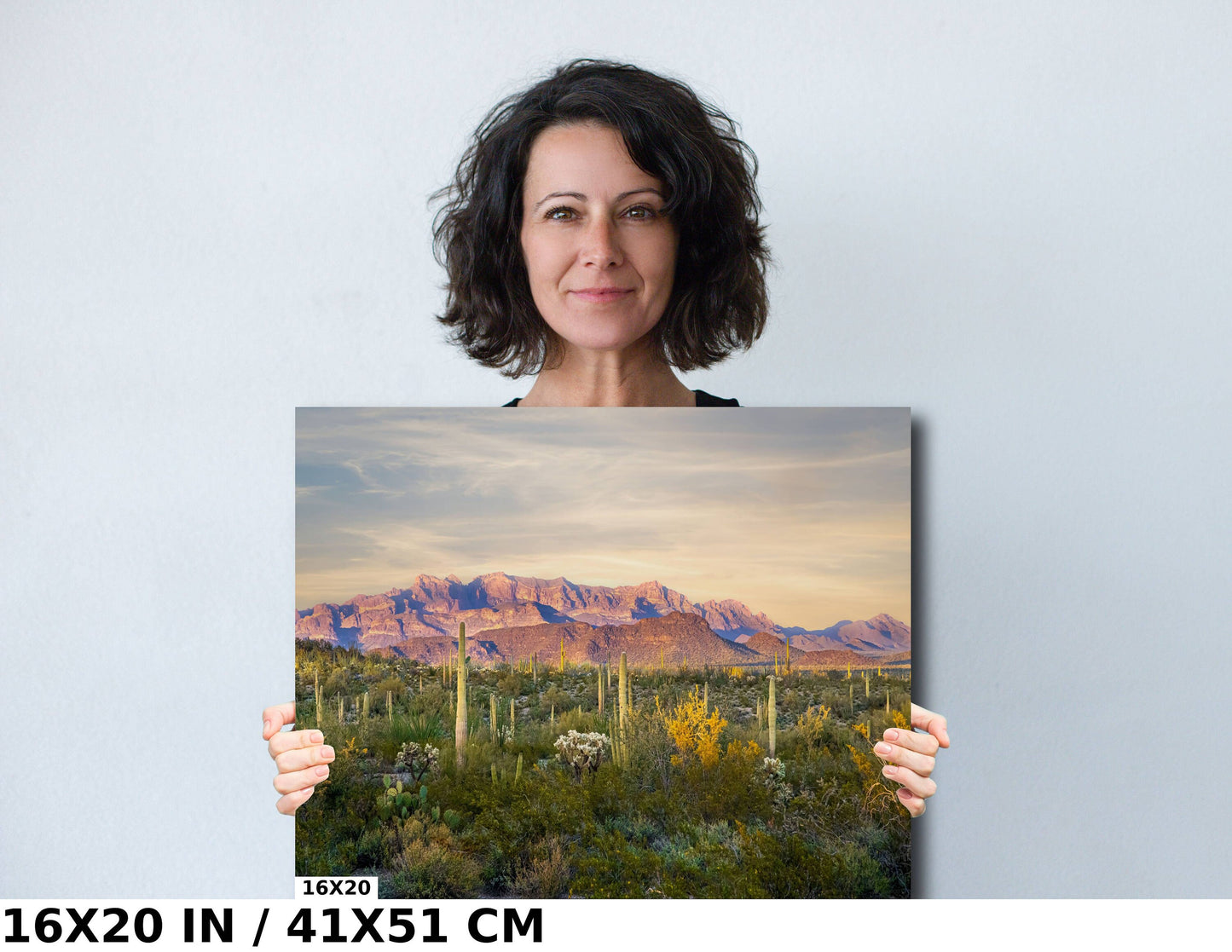 Ajo Mountain and Cacti in Organ Pipe Cactus National Monument Arizona Before Sunset Wall Art