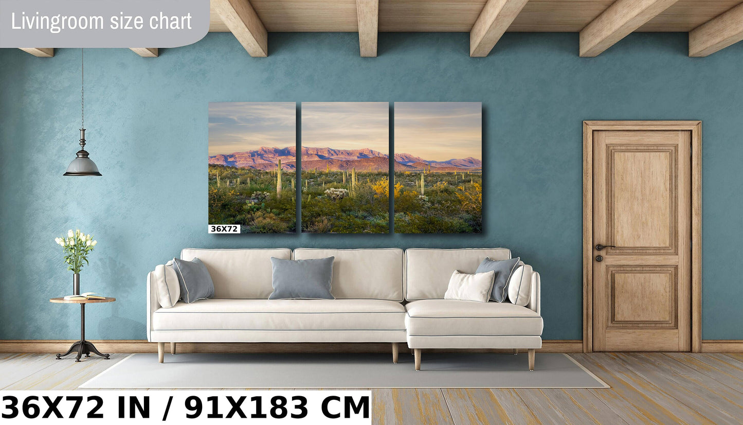 Ajo Mountain and Cacti in Organ Pipe Cactus National Monument Arizona Before Sunset Wall Art