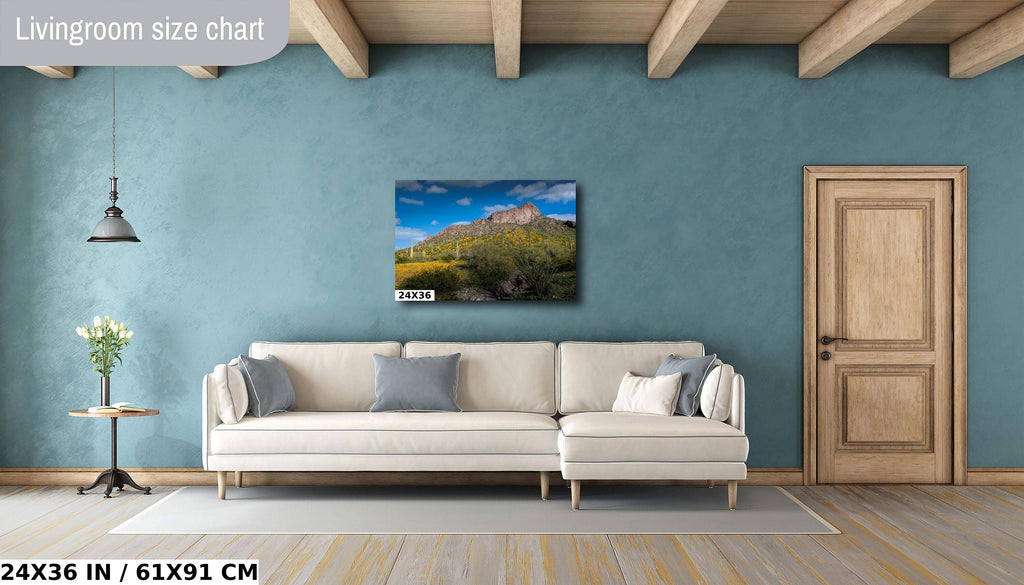 Picacho Peak Poppy Bloom: Arizona Desert Landscape Photography Wall Art