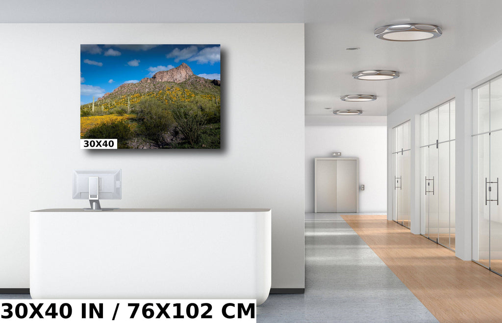Picacho Peak Poppy Bloom: Arizona Desert Landscape Photography Wall Art