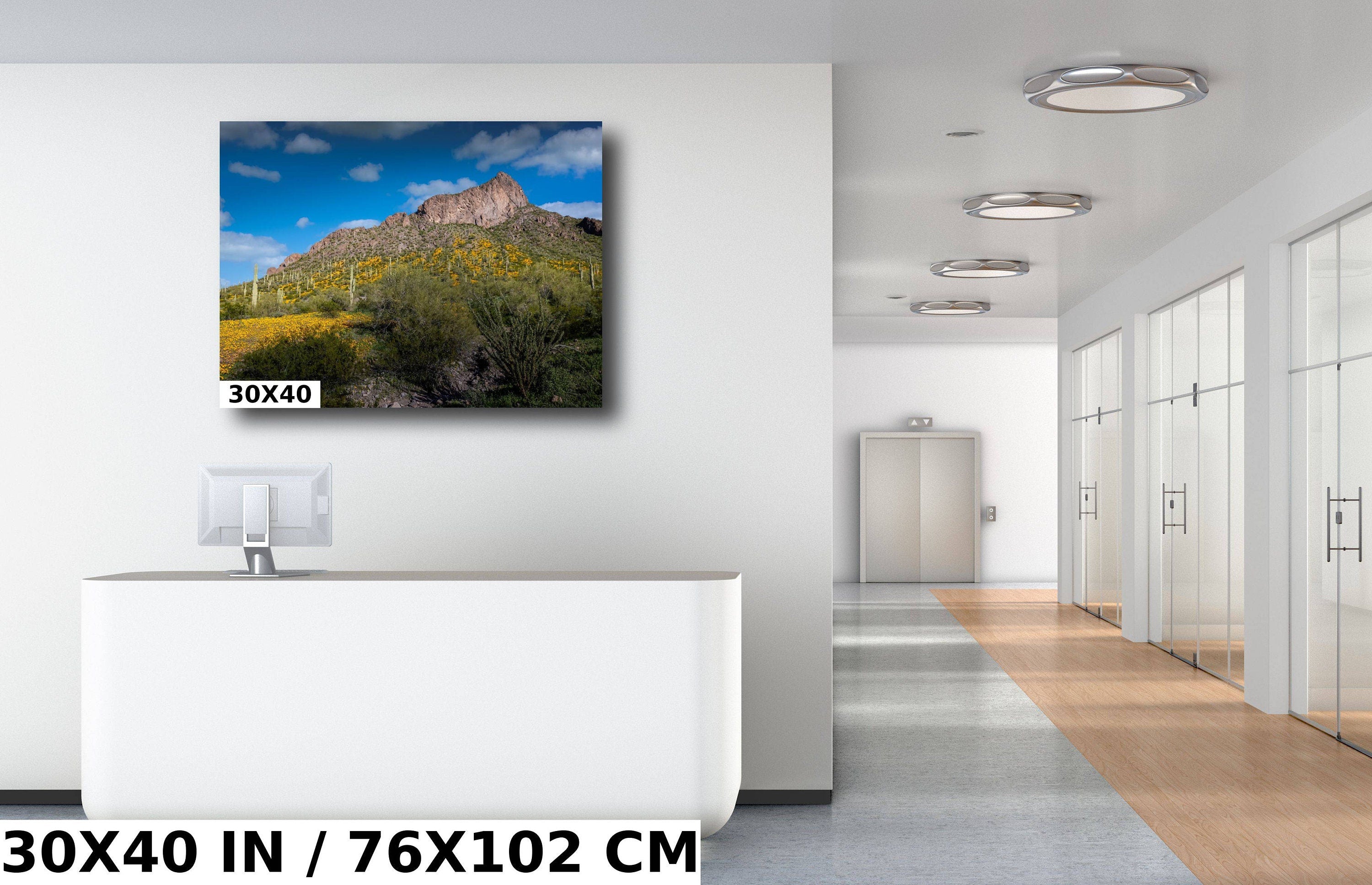 Picacho Peak Poppy Bloom: Arizona Desert Landscape Photography Wall Art