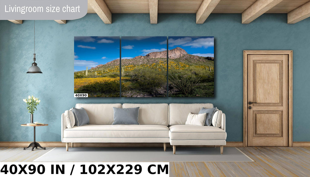 Picacho Peak Poppy Bloom: Arizona Desert Landscape Photography Wall Art
