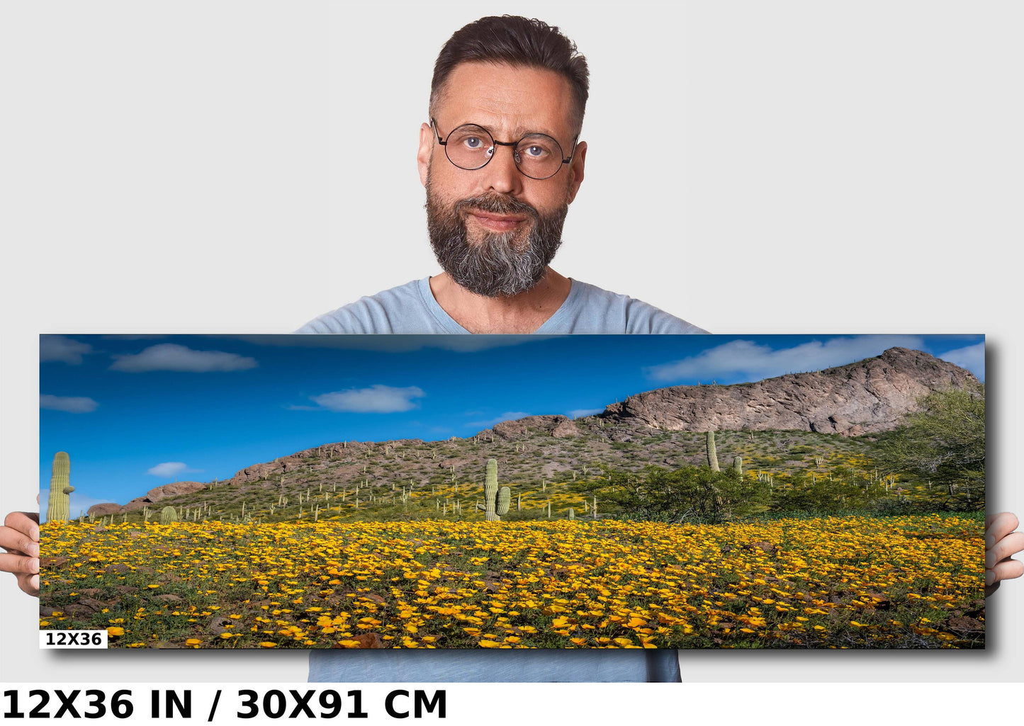 Golden Poppy and Saguaro Cactus Arizona Desert Wall Art