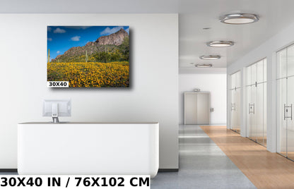 Golden Poppy and Saguaro Cactus Arizona Desert Wall Art