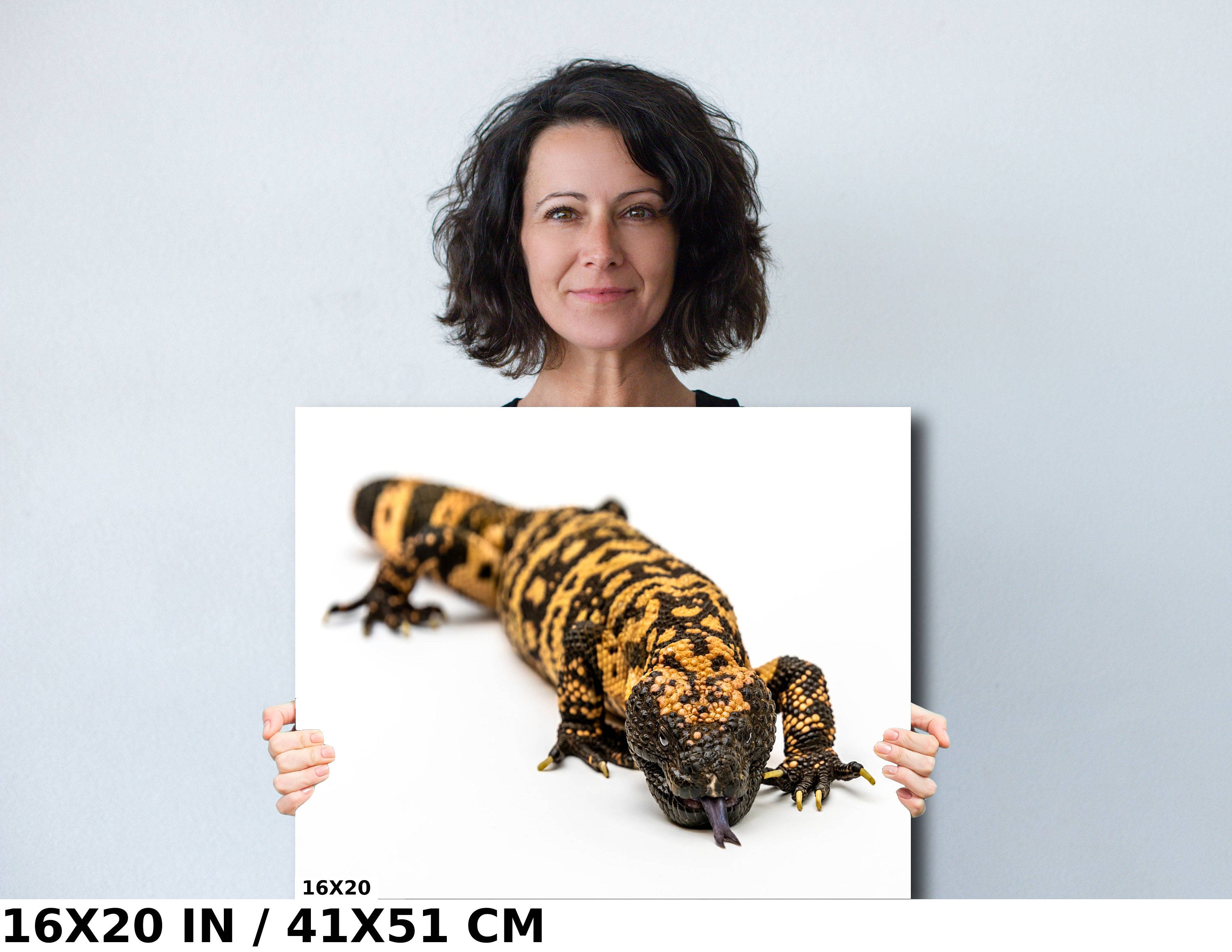 Reptilian Royalty: Gila Monster Wall Art Exotic Animal Metal Acrylic Print Reptile Photography
