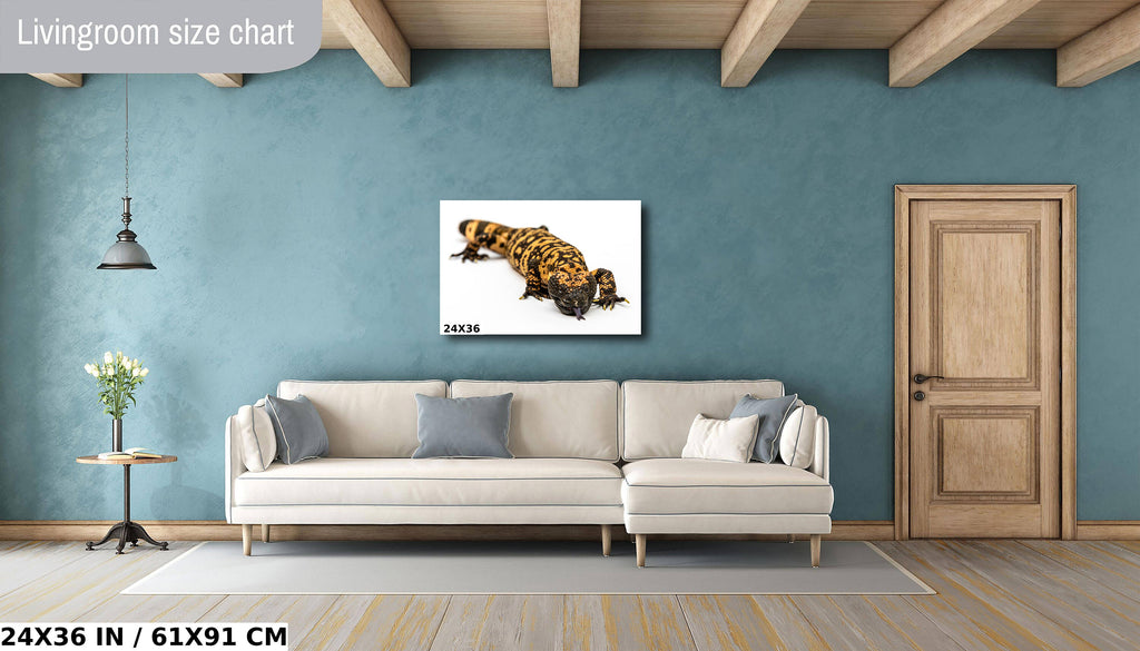 Reptilian Royalty: Gila Monster Wall Art Exotic Animal Metal Acrylic Print Reptile Photography