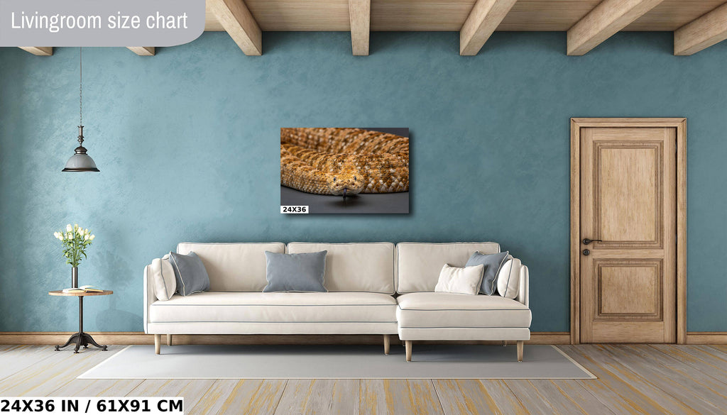 I’m Watching You: The Piercing Eyes of a Rattlesnake Wall Art Reptile Animal Metal Canvas Print