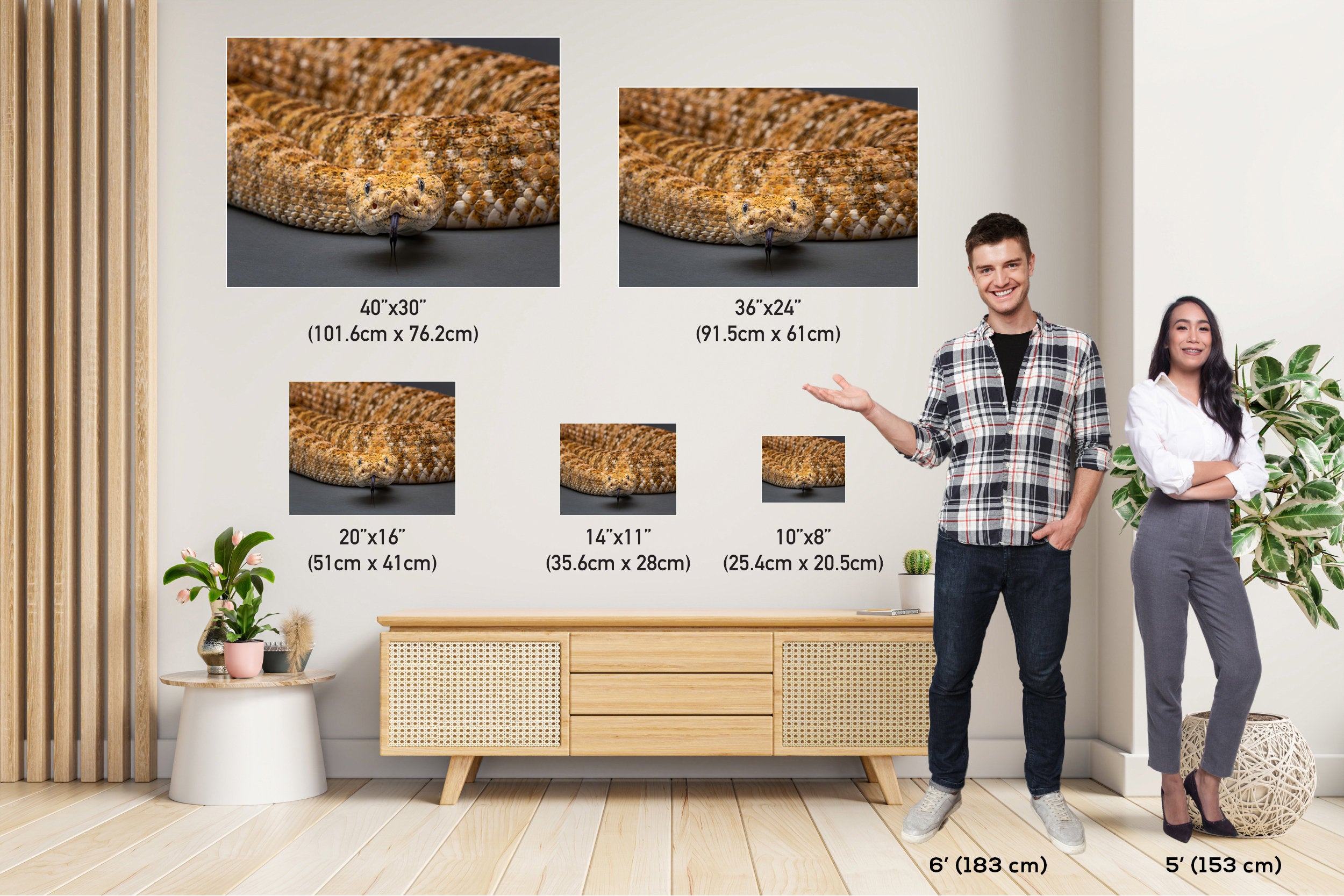 I’m Watching You: The Piercing Eyes of a Rattlesnake Wall Art Reptile Animal Metal Canvas Print