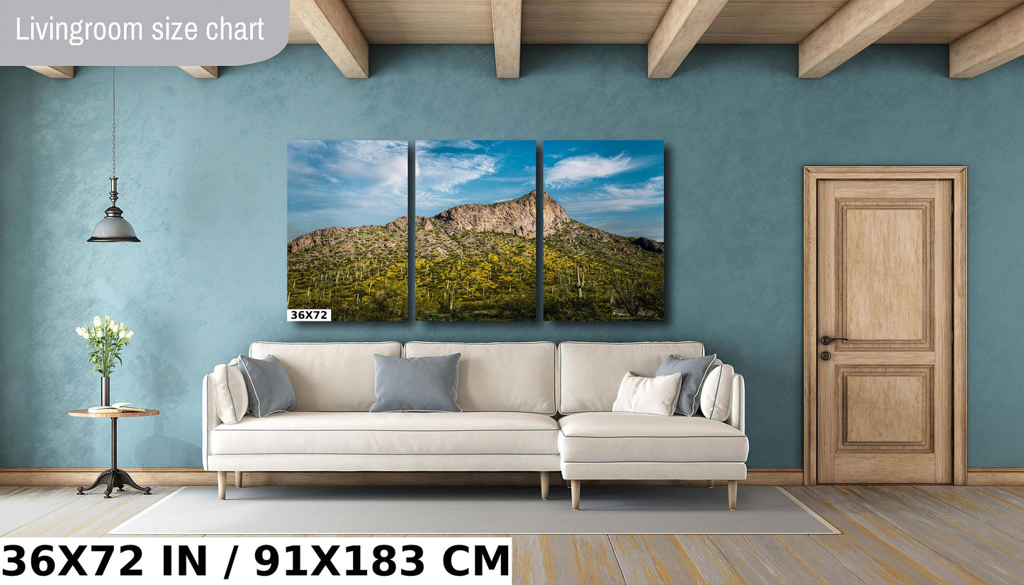 Picacho Peak Arizona Desert Landscape Photography Wall Art