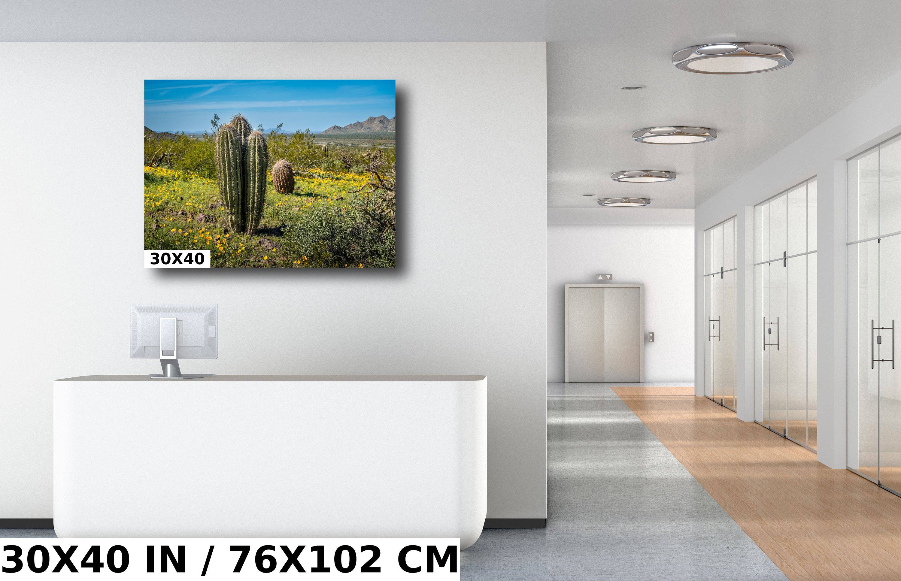 Saguaro Cactus Arizona Desert Landscape Photography Wall Art