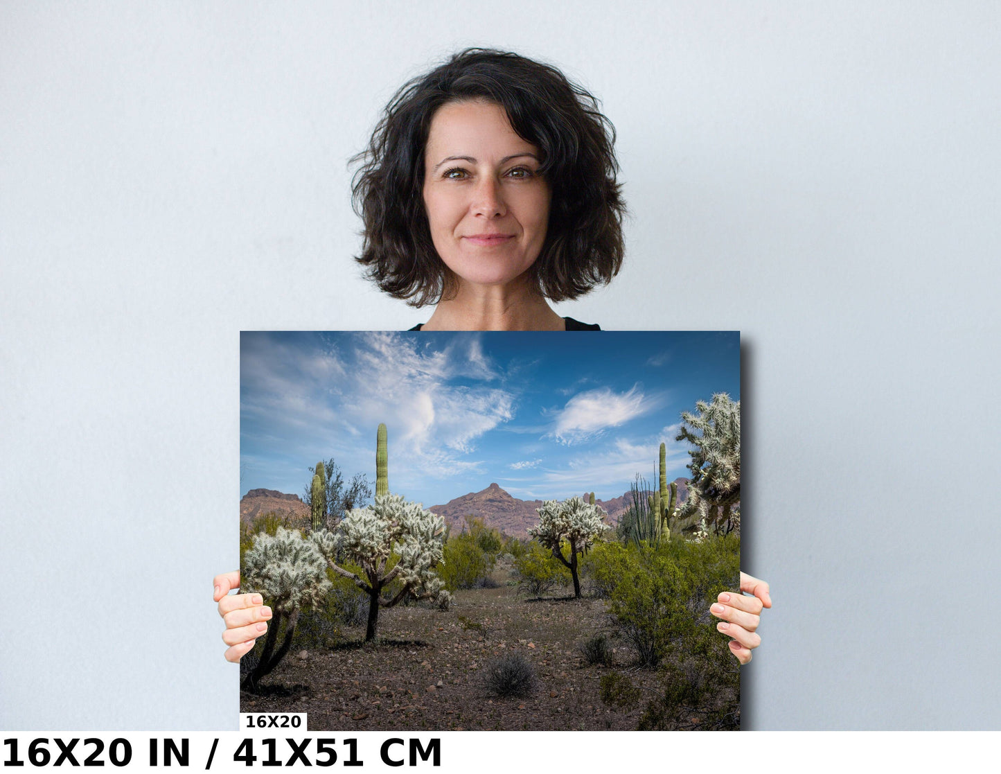 Organ Pipe National Monument Jumping Cholla and Saguaro Cactus Arizona Desert Wall Art
