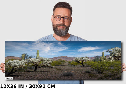 Organ Pipe National Monument Jumping Cholla and Saguaro Cactus Arizona Desert Wall Art