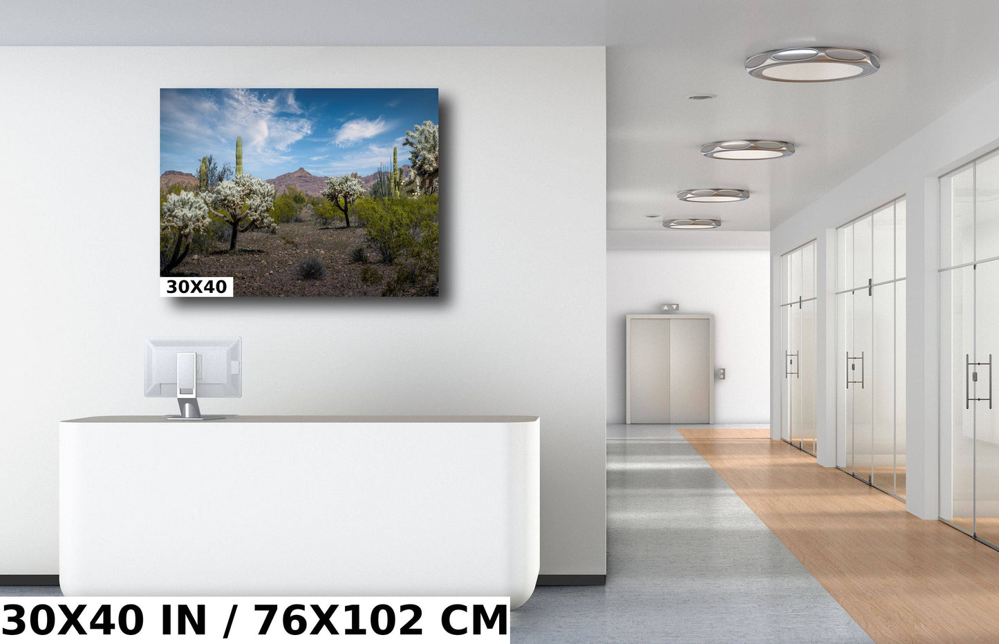 Organ Pipe National Monument Jumping Cholla and Saguaro Cactus Arizona Desert Wall Art